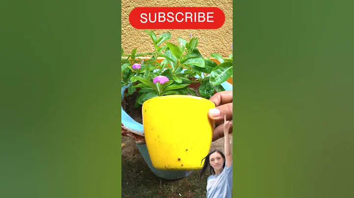 Organic Fertilizer #shorts #ytshorts #reels #shortvideo #trending #fertilizer #organicfertilizer