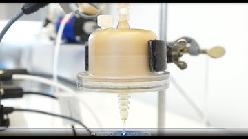 Clarifiaction of CHO Cell cultures