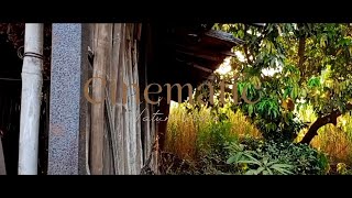 Relaxing Nature Video | Cinematic Nature Video | Shot On Realme