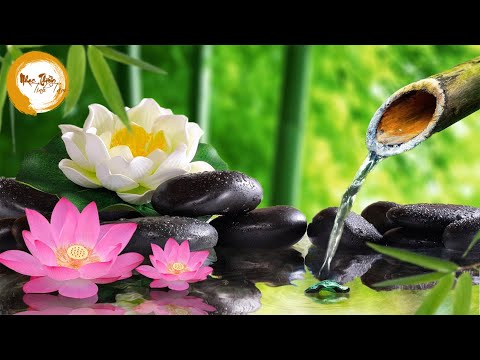 Nhạc Thiền - Lắng Đọng Tâm Tư, Thanh Tịnh An Lạc Với Bản Nhạc Thiền Cực Hay