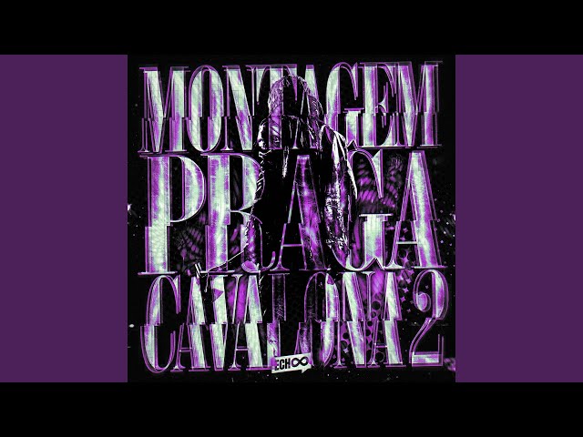 MONTAGEM PRAGA CAVALONA 2 (Super Slowed)
