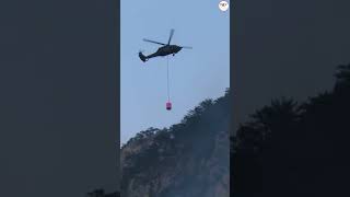 जंगल की आग से जंग: IAF ने गिराए 66,000 लीटर पानी #forestfire  #indianairforce  #climatechange