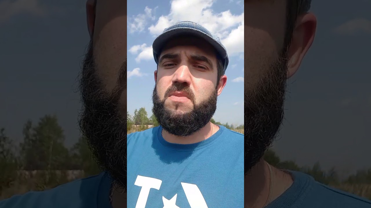 World Life Experience