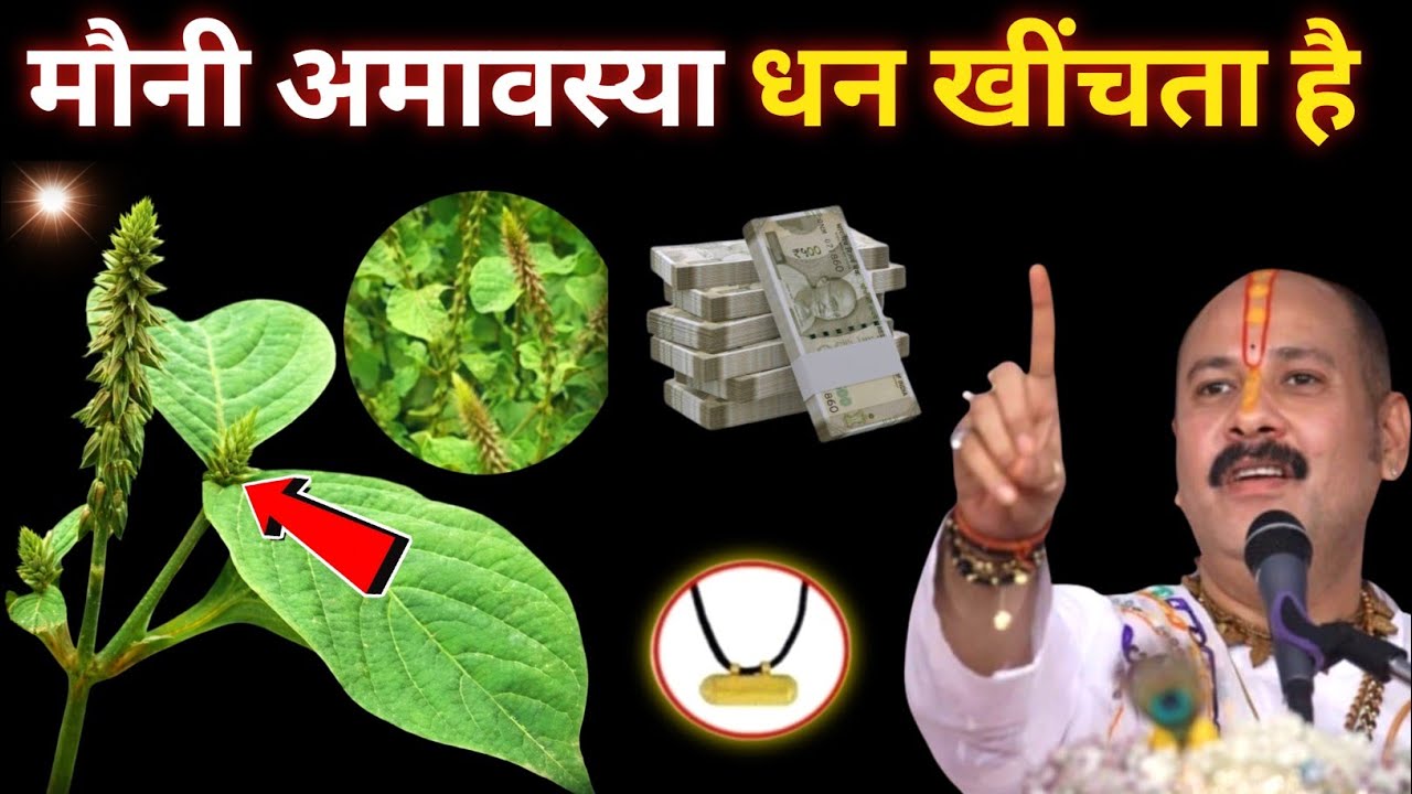 18 जनवरी 2026 मौनी अमावस्या के दिन पहन लेना अपने गले में यह जड़, 501% गरीबी होगी खत्म