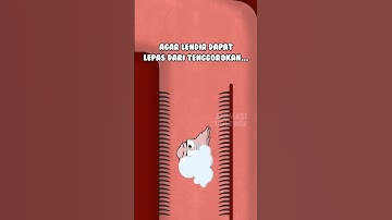 Kenapa Bisa Batuk???  #animasidolewak