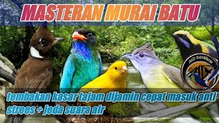 terpercaya !! MASTERAN|tembakan kasar tajam dijamin cepat masuk dan anti strees + jeda suara air