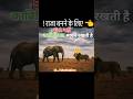 काबिलियत मायने रखती है!!For Make a 👑 King|Mahendra Jackson motivation #reels#shorts # Viral video 📚!