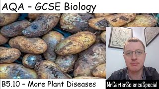 B5.10 - More Plant Diseases - AQA Biology GCSE 9-1
