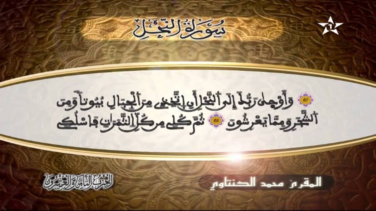 سورة النحل | المقرئ محمد الكنتاوي