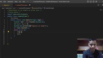 Determinar si un numero es primo java