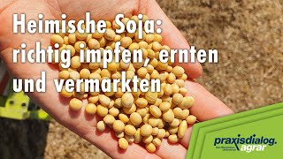 praxisdialog.agrar 2023: #07 | Heimische Soja: richtig impfen, ernten und vermarkten