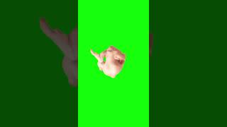 Chicken Dancing to Waka Waka Green screen #funnyvideo #fypviral #funnymeme #fypyoutube #memes #funn