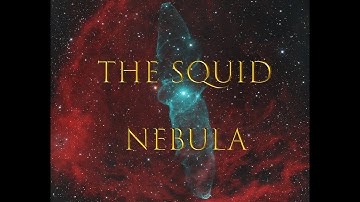 I shot the Squid nebula, with the help of some friends