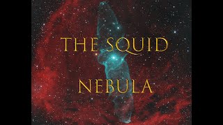 I shot the Squid nebula, with the help of some friends