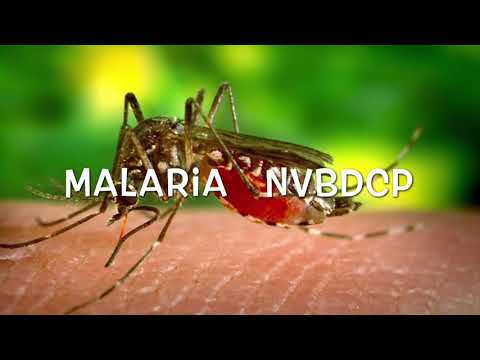 Video: Het Belang Van Actieve Case-detectie In Een Malaria-eliminatieprogramma
