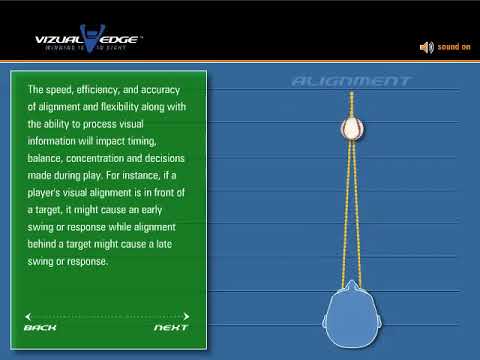 Vizual Edge Performance Trainer ® (VEPT) Improve Your Sports Vision with Performance Training