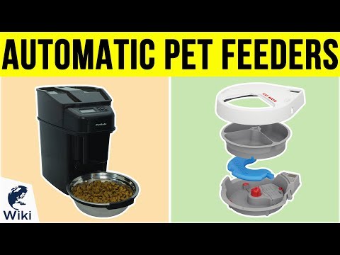 10-best-automatic-pet-feeders-2019