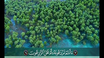 ﴿أَفَرَأَيتُمُ الماءَ الَّذي تَشرَبونَ﴾ - من روائع التلاوات - القارئ أحمد العبيد