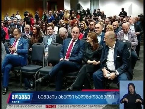 პარლამენტს სემეკის თავმჯდომარედ დავით ნარმანიას კანდიდატურა წარედგინა