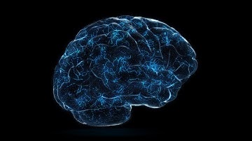 4K Digital Technology of a Human Brain Concept