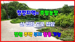642 청정지역인 중명리 주말농장매매 산과 접해있는 포항주말농장매매 도로에 잘접해 있는 연일주말농장매매 전원주택부지로 활용이 가능한 포항농지매매 주말농장과 주택부지로 활용가능한 땅