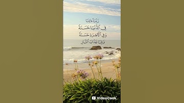 قرآن كريم #راحة_نفسية #اكسبلور #الرحمن #لايك