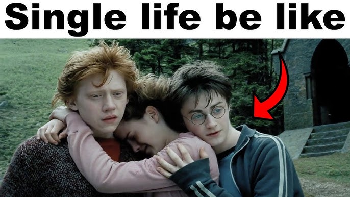 Memes de Harry Potter #11  ⚡.HARRY POTTER.⚡ Amino