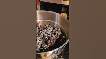 Steam-powered Juicer for forage #wildfood #grape #juicing