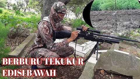 BERBURU TEKUKUR TARGET BAWAH