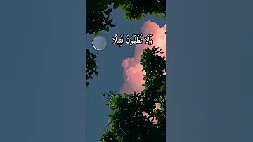 أينما تكونوا يدرككم الموت ولو كنتم في بروج مشيده السيد سعيد سيد سعيد 