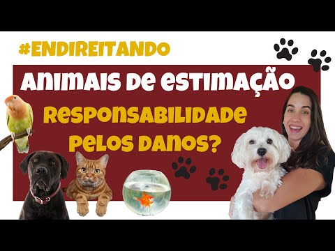 Vídeo: Qual é A Responsabilidade De Um Animal De Estimação