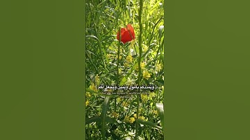 أستغفر الله وأتوب إليه 🎧🥺🫀 #اكتب_شي_تؤجر_عليه #ماهر_المعيقلي #تلاوة