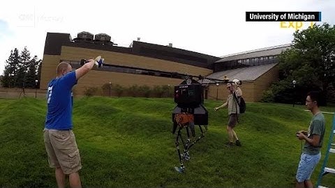 Watch a robot learn how to walk