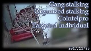 集団ストーキング被害または日常の光景 2017.11.23  Gang Stalkng Organized stalking Cointelpro Targeted Individuals