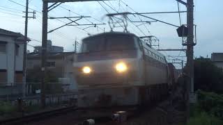 JR貨物 EF66-101号機(吹田)+コキ24両 貨物列車67レ 2019.08.25