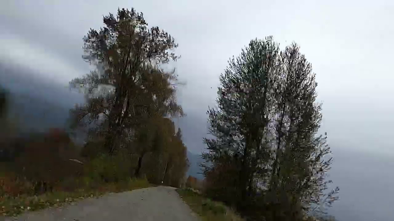 Bike ride Timelapse, a dark morning on the trails, a blustery afternoon, and 4 bears in a tree