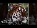 Airbrush speed painting - Tiger