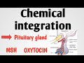 Oxytocin and Melanocyte-Stimulating Hormone