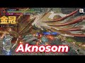[MHRise] アケノシルム金冠確定クエスト [太刀]