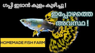 fishfam malayalam - make a low budjet fish tank at home | gift | nutter | malayalam | #StayHome