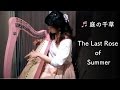 アイリッシュハープ27弦で「庭の千草」を弾きました. Harp Music -The Last Rose of Summer-