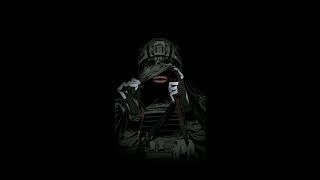 TAKTSTÖRER-141 Schneeschieber slowed rever (Tik Tok)