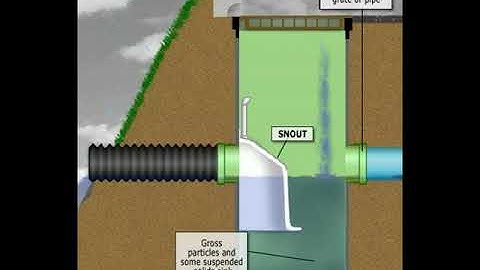 SNOUT Animation Windows