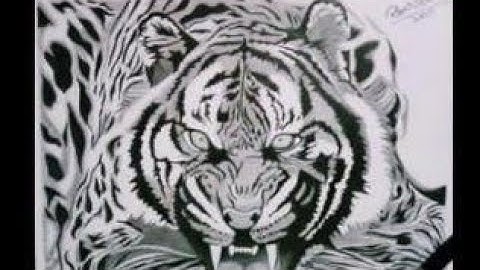 How to Draw a Tiger [ Narrated step-by-step Tutorial]