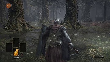 Dark Souls 3 Co Op WITH CPU vs Human NPCs