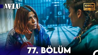 Avlu 77. Bölüm (FULL HD)