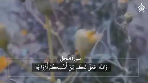 تلاوة من سورة النحل تراويح رمضان 1441 فضيلة الشيخ #سعود_الشريم