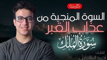 السورة المنجية من عذاب القبر | سورة الملك | القارئ أحمد الشافعي  - Ahmed Alshafey