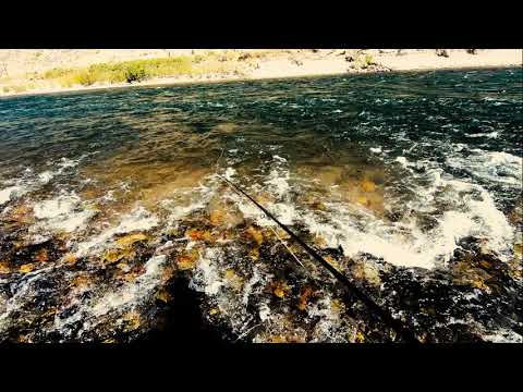 Two Days in September Fishing on the Yellowstone River