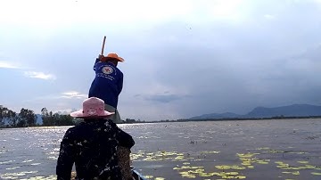 Nghề giăng lưới phất bắt cá rô đồng mùa nước nổi, Tân Thạnh, Tà Đảnh, Tri Tôn, An Giang 03/10/2019